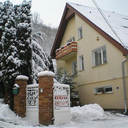 Villa Harmonia Panzio Visegrád Exteriér fotografie
