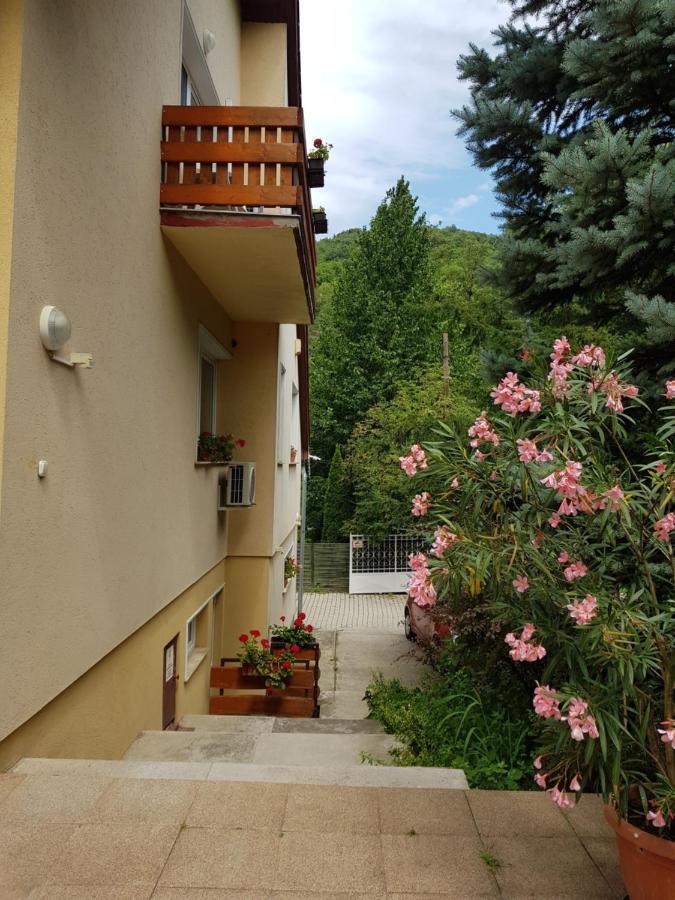 Villa Harmonia Panzio Visegrád Exteriér fotografie